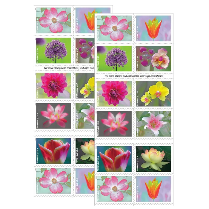 Garden Beauty 2021 100Pcs