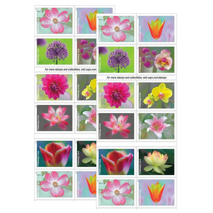 Garden Beauty 2021 100Pcs