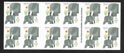 2022 Elephants