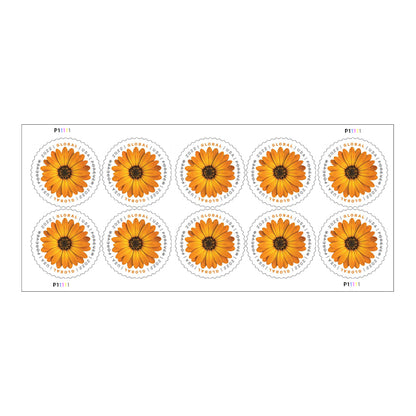 Global African Daisy Stamps（International ＄1.45）