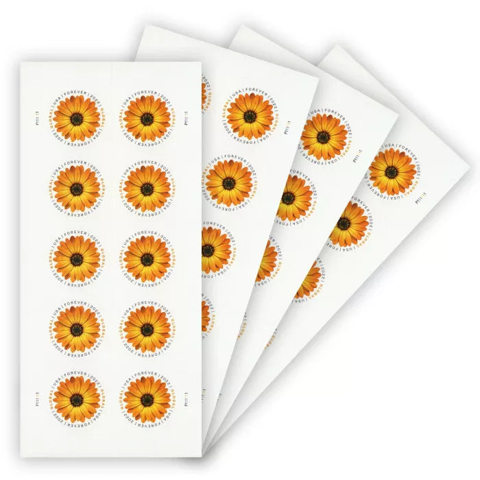 Global African Daisy Stamps（International ＄1.45）