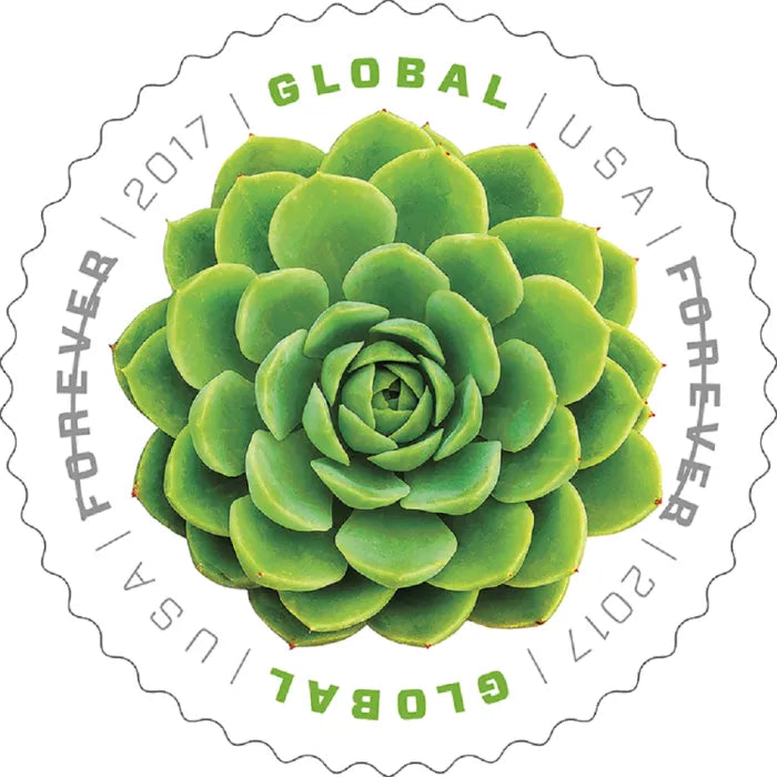 2017 Global Green Succulent